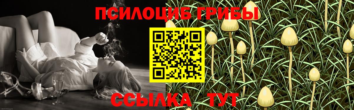 Галлюциногенные грибы Psilocybe Ишимбай