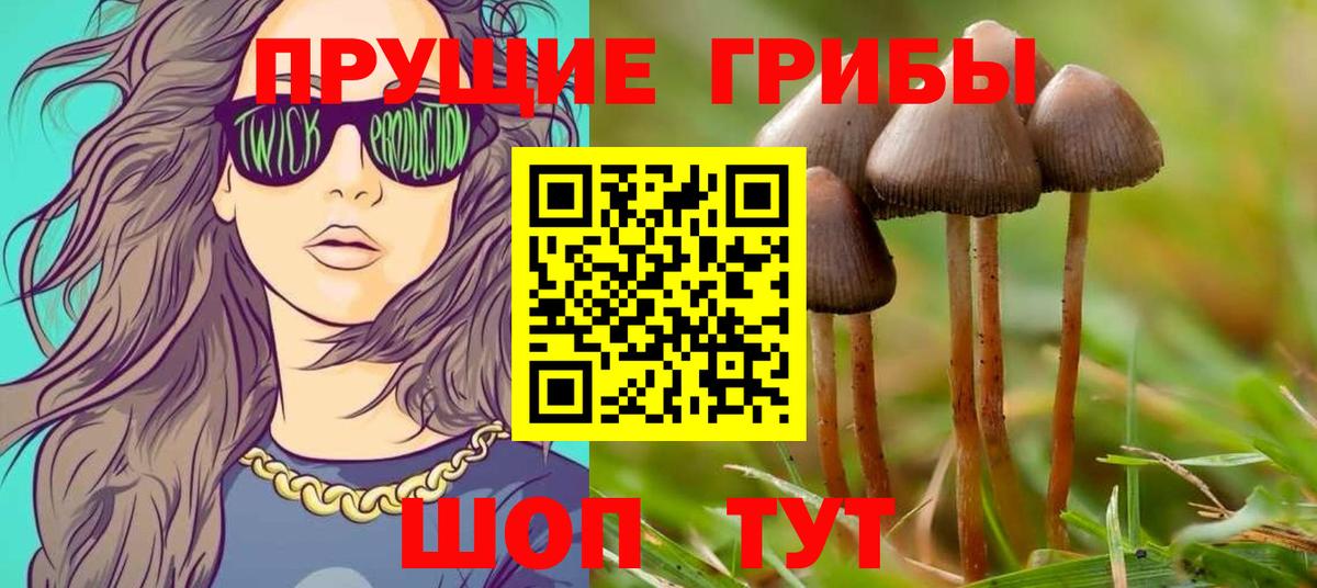 Псилоцибиновые грибы мухоморы  цены наркотик  Ишимбай  Вход с VPN 